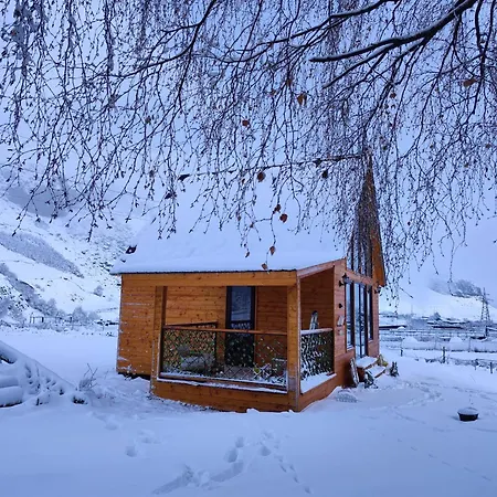 Mta-Shi Villa Kazbegi Exterior photo