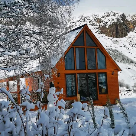 Mta-Shi Villa Kazbegi Exterior photo