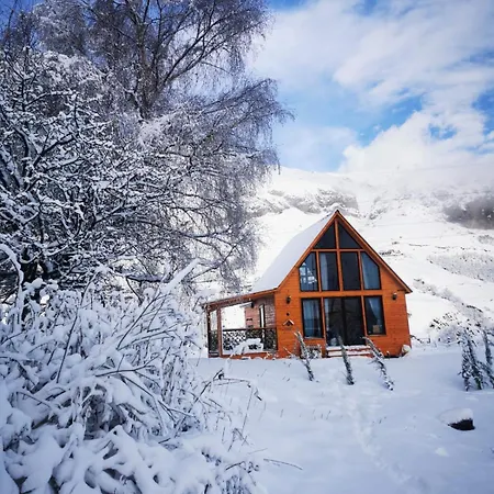 Mta-Shi Villa Kazbegi Exterior photo